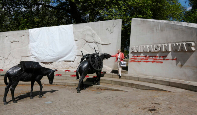 Organización pública Assotsiatsiya Voyennyye Memorialy, , foto