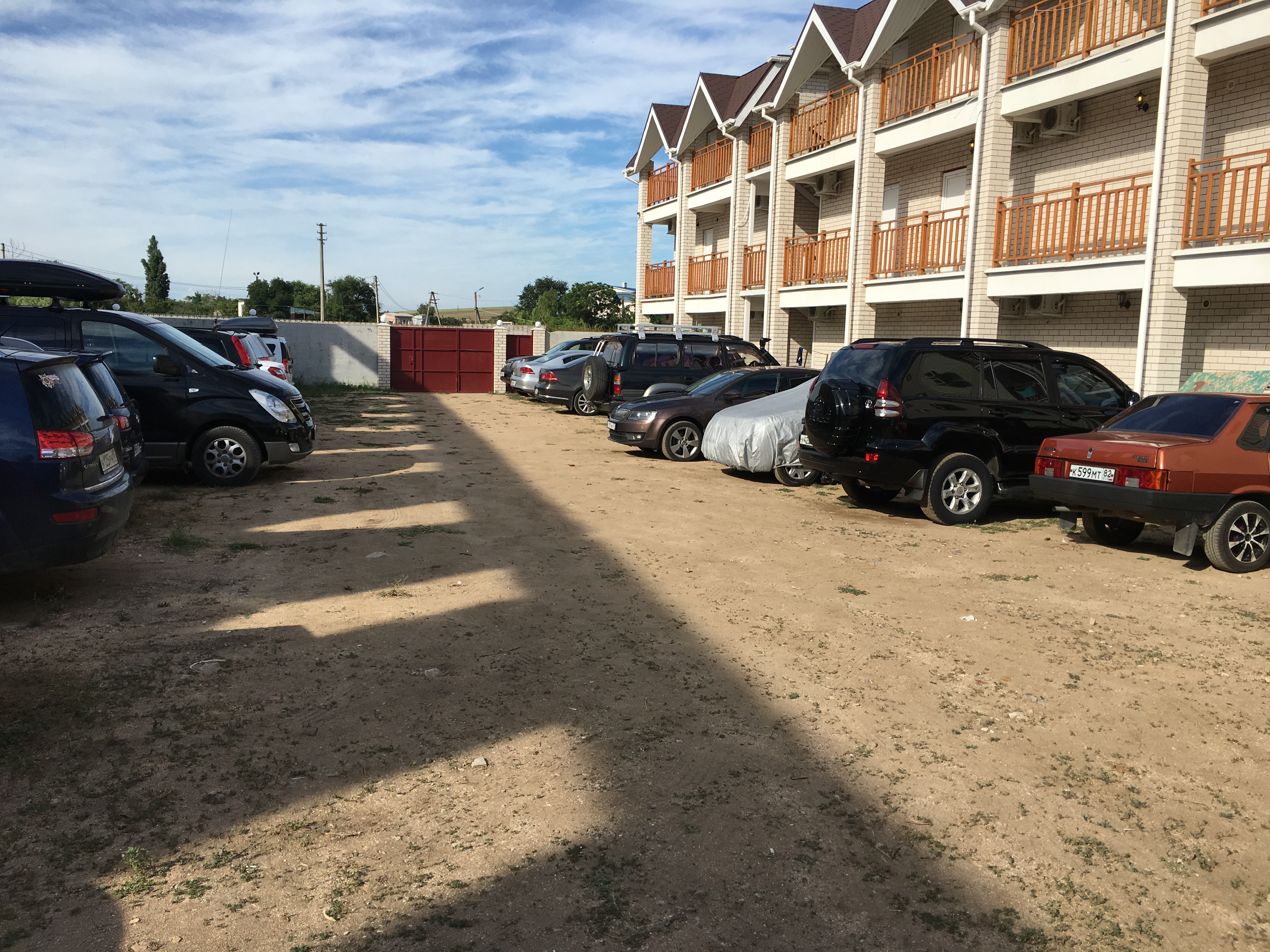 Фото Дельфиниум