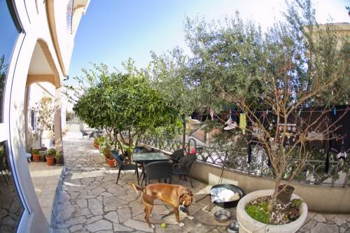 Фото Apartments Andric