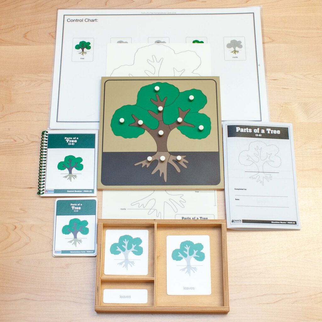 Toys and games Alison's Montessori & Educational Materials, State of New Jersey, photo