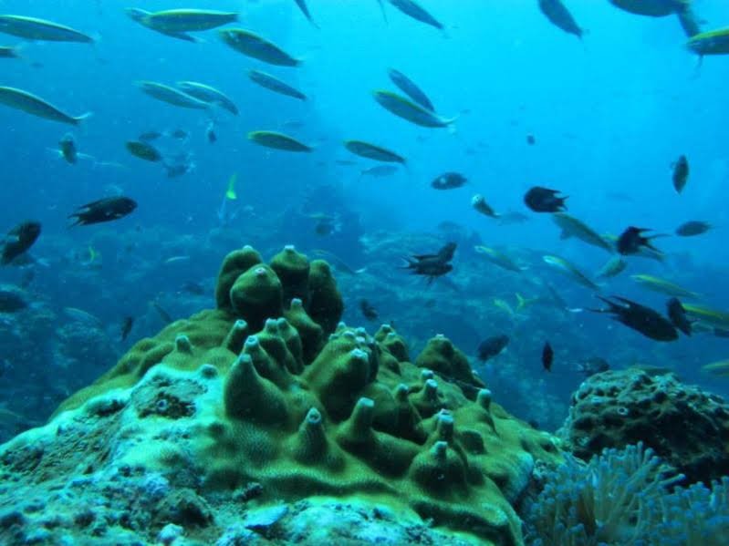 Фото Happiness Resort