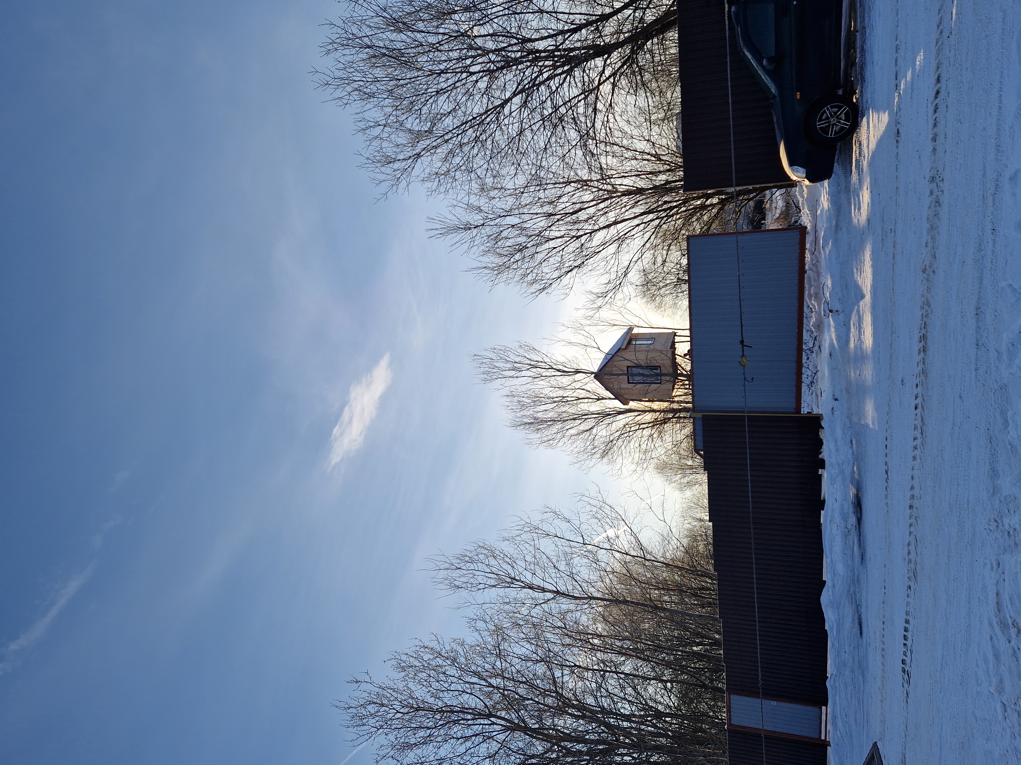 Фото Светлая роща