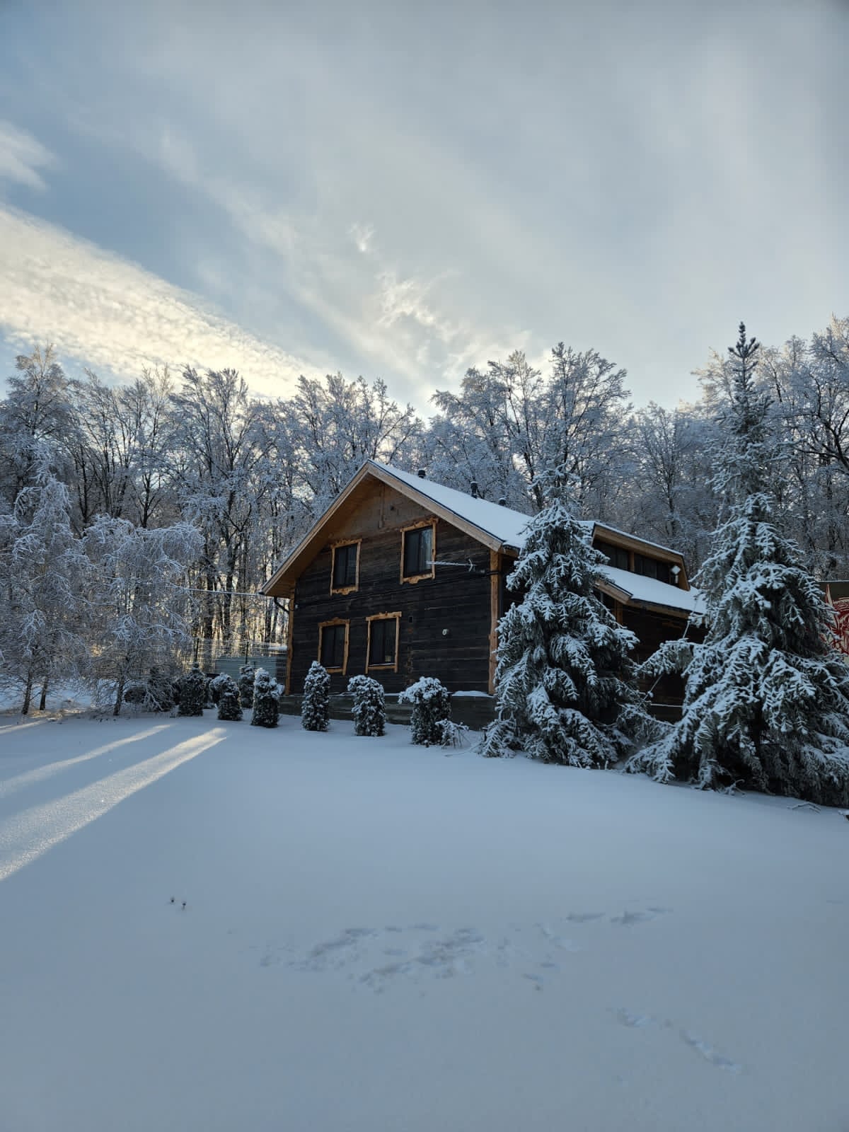 Фото Дом в лесу
