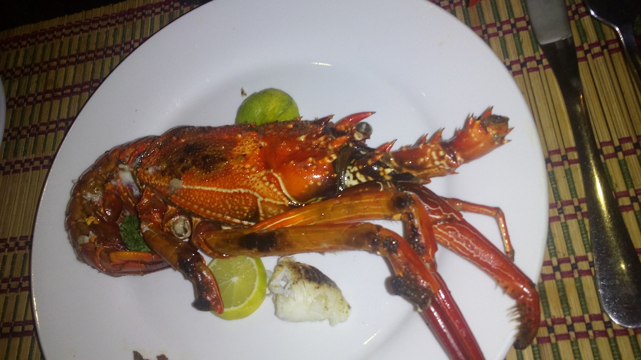 Фото Maafushi View