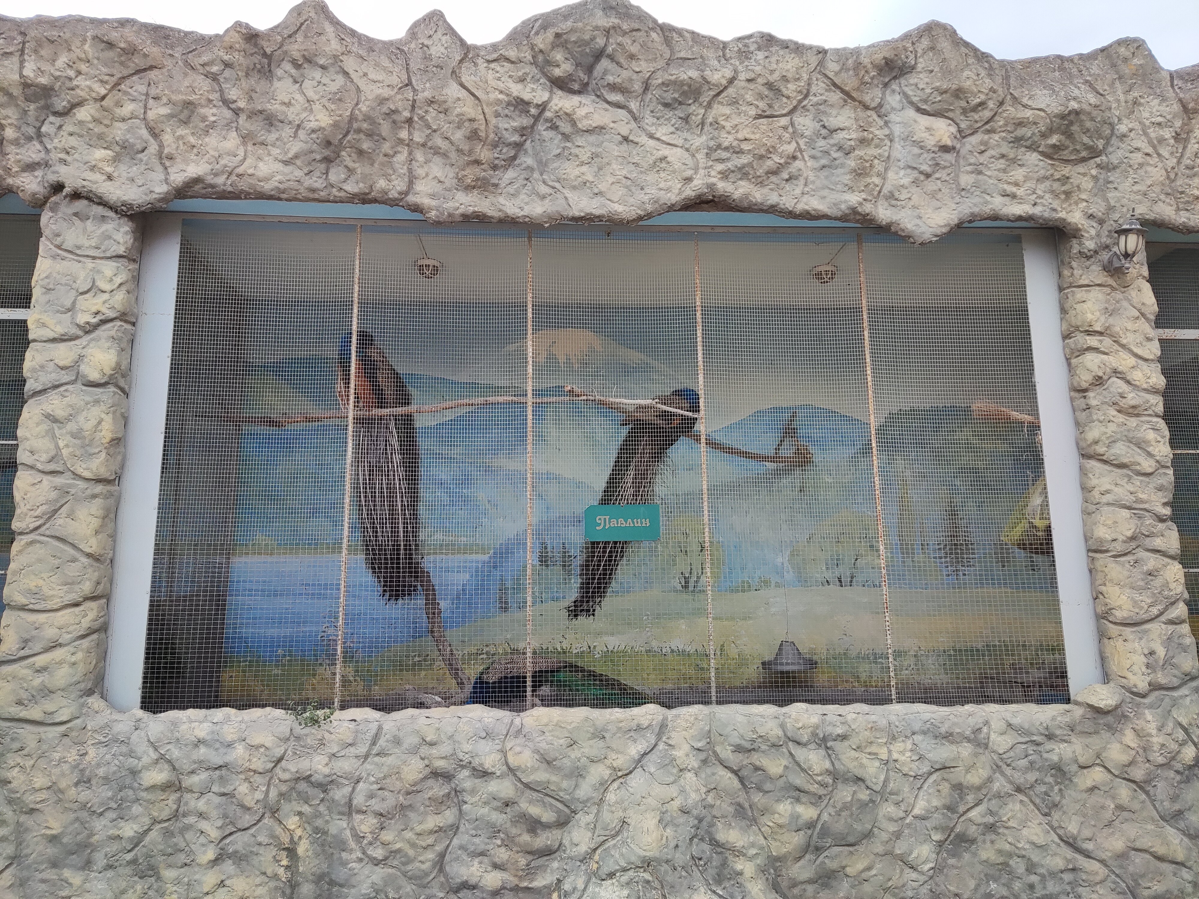 Фото Шахристан