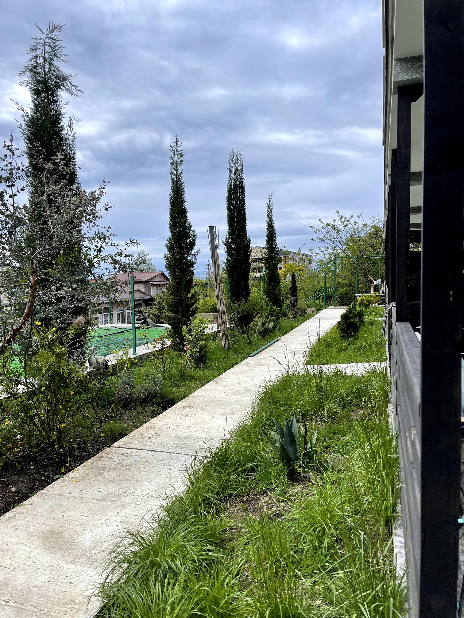 Фото Горландия