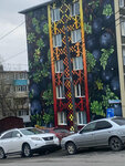 Граффити Шикша (ул. Чубарова, 5, Петропавловск-Камчатский), стрит-арт в Петропавловске‑Камчатском