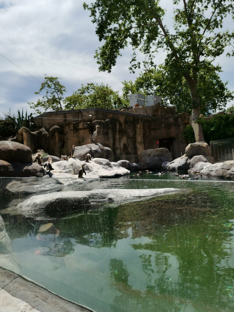 Zoo Barcelona Zoo, Barcelona, photo