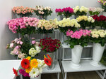 Viva Flowers (ул. Маштакова, 9, Подольск), магазин цветов в Подольске
