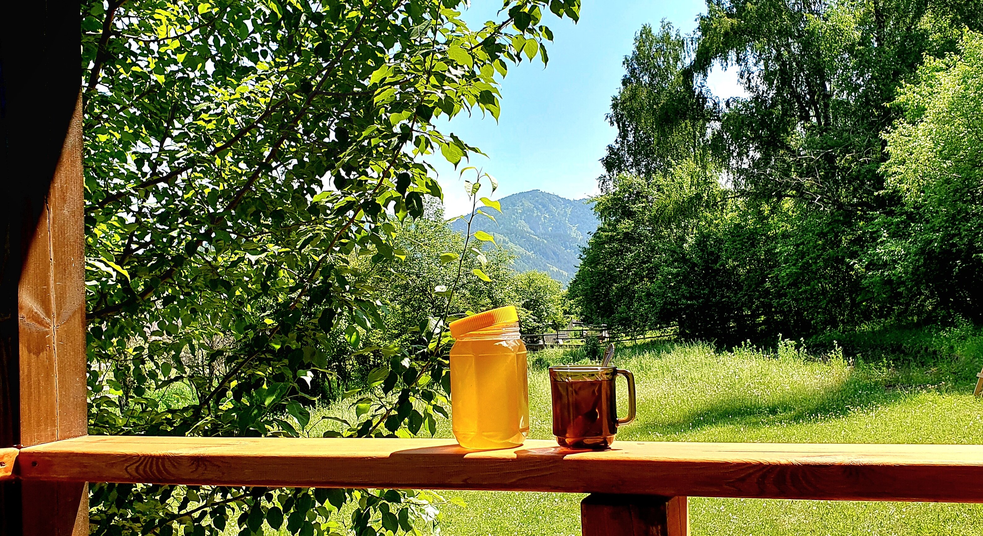 Фото Горный сад