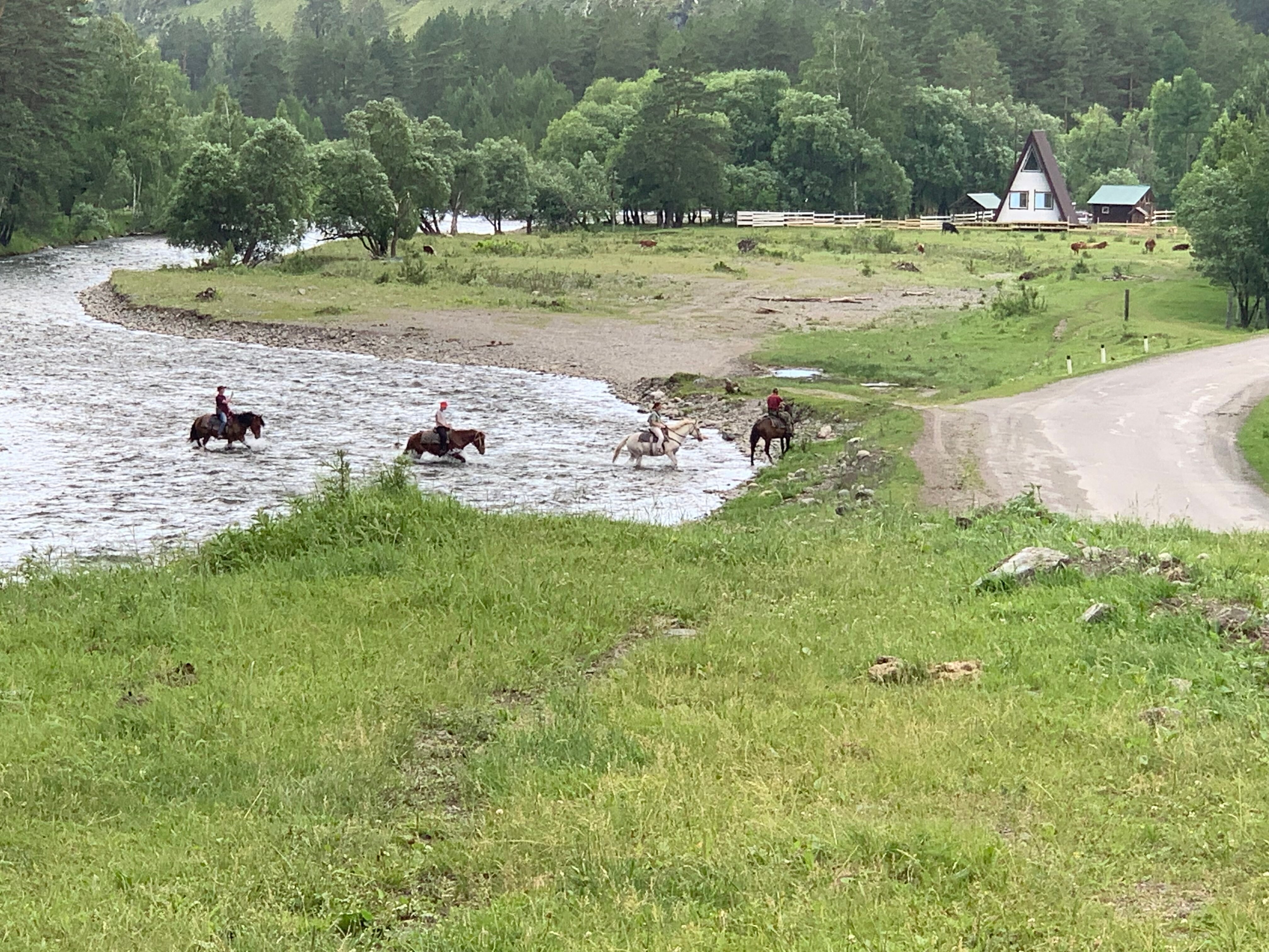 Фото Royal Comfort