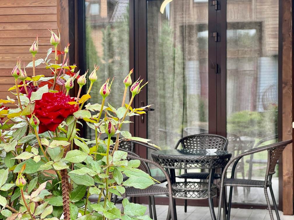 Фото Роза-Мария