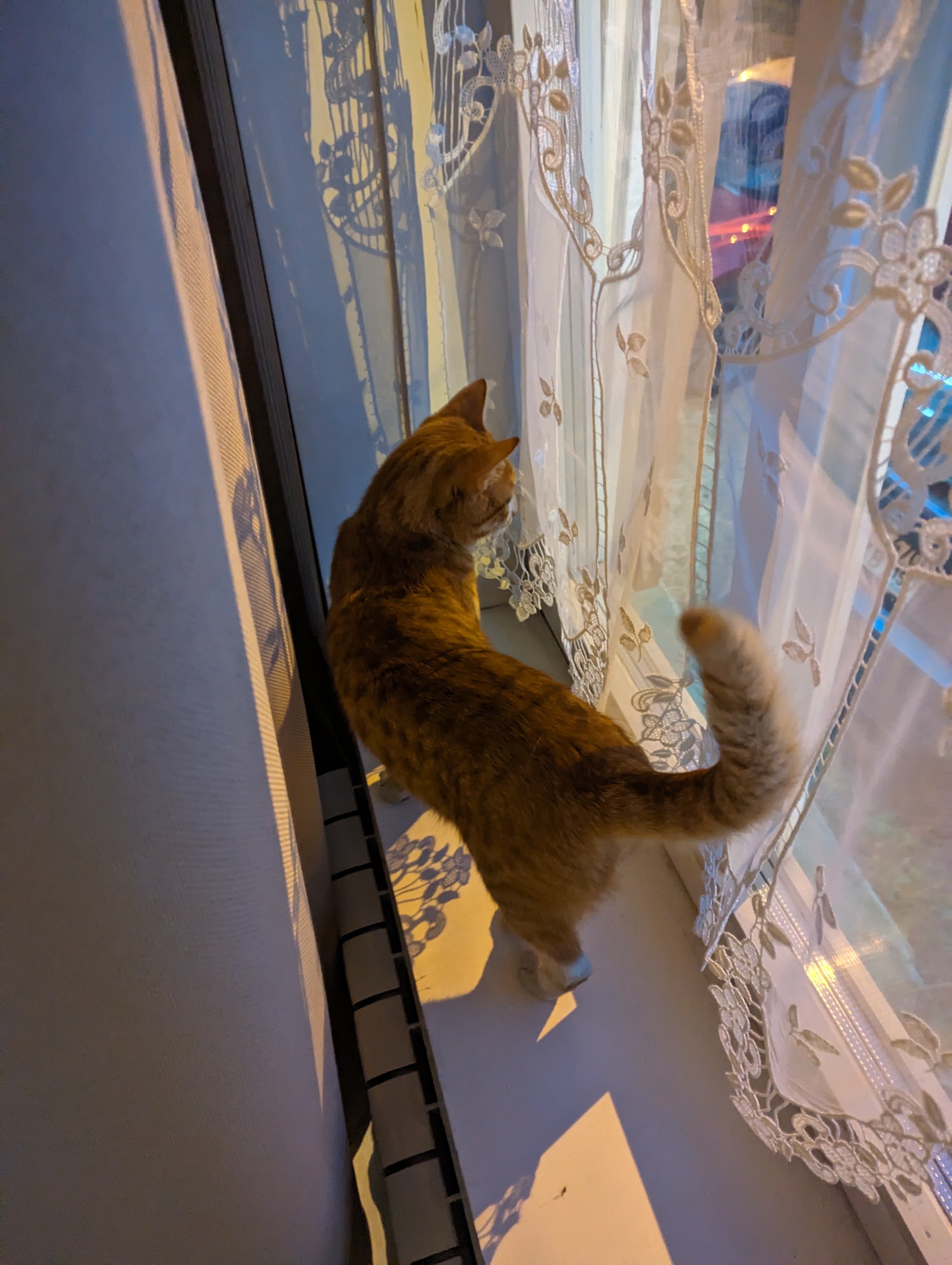 Фото Доходный Дом М. А. Листратовой