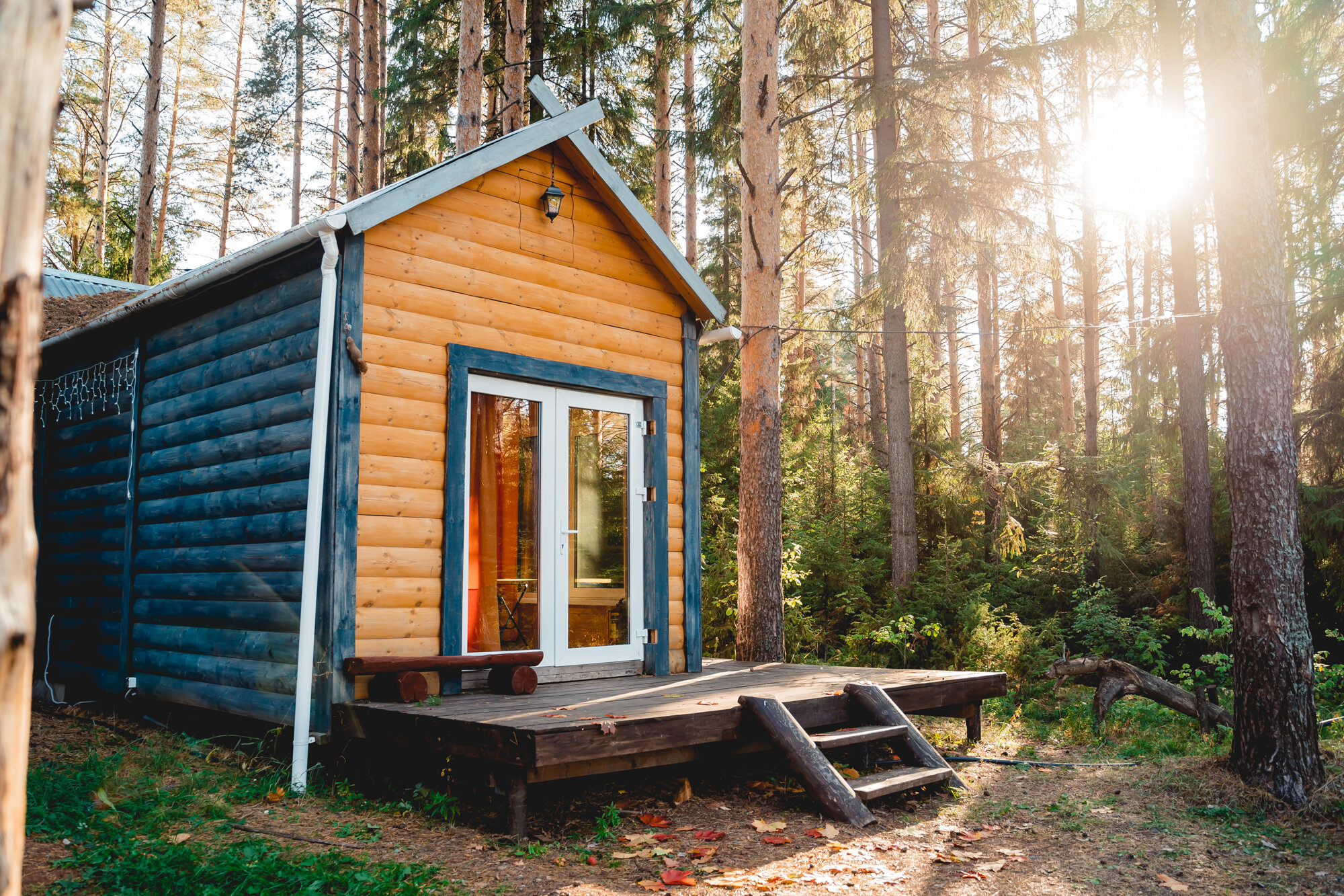 Фото Новая Волна