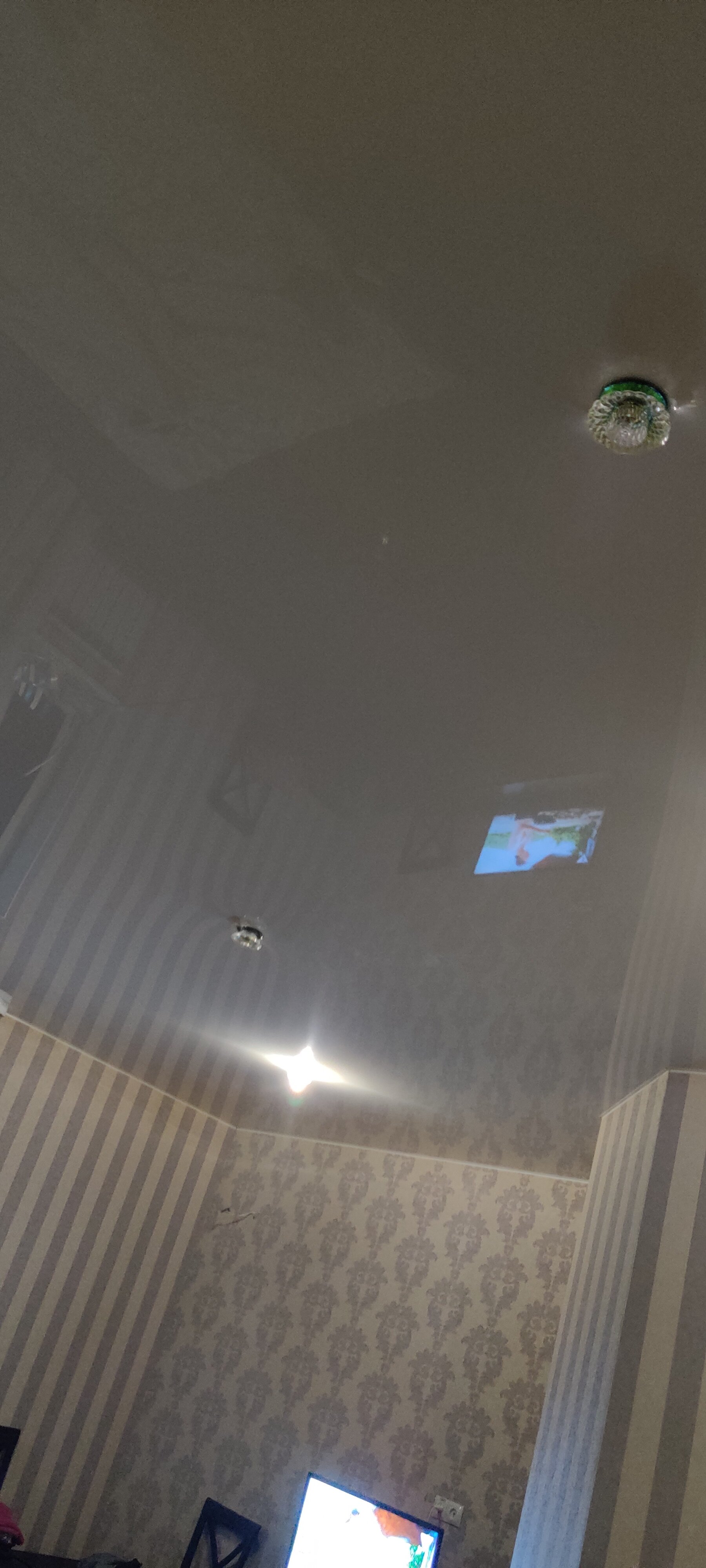 Фото Веселый соловей