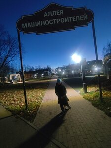 Аллея Машиностроителей (Republic of Mordovia, City of Ruzayevka, posyolok Khimmash), landmark, attraction