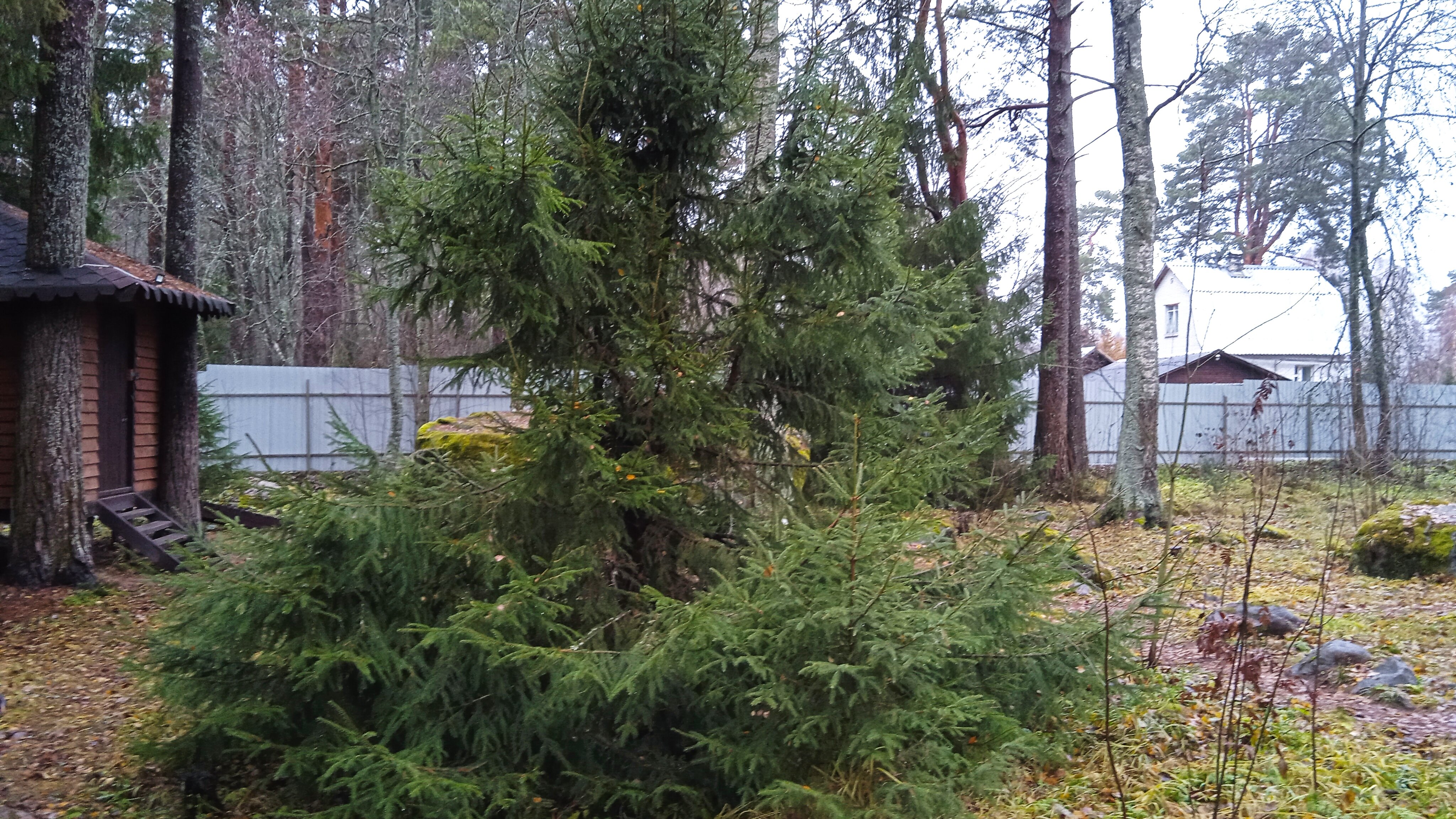 Фото Плотвичкина заводь