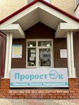 Проросток (Nikolaya Chumichova Street, 30А), further education