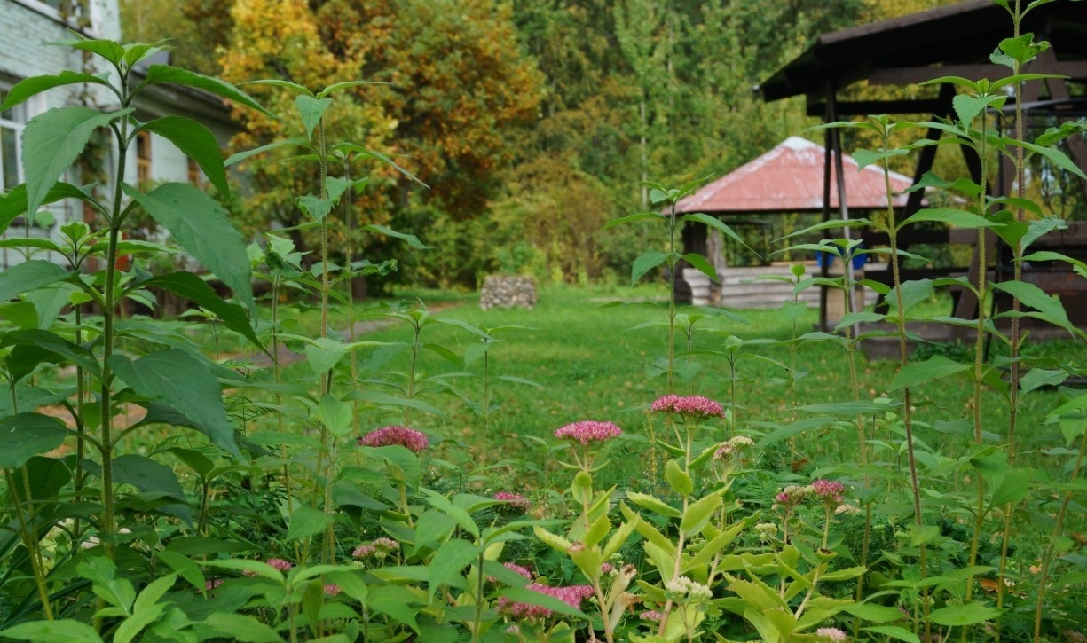 Фото Кошкинский фарватер