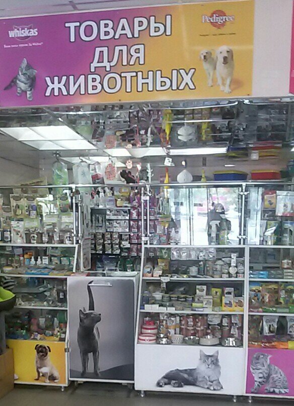 Интернет Магазин Зоотоваров Волгоград