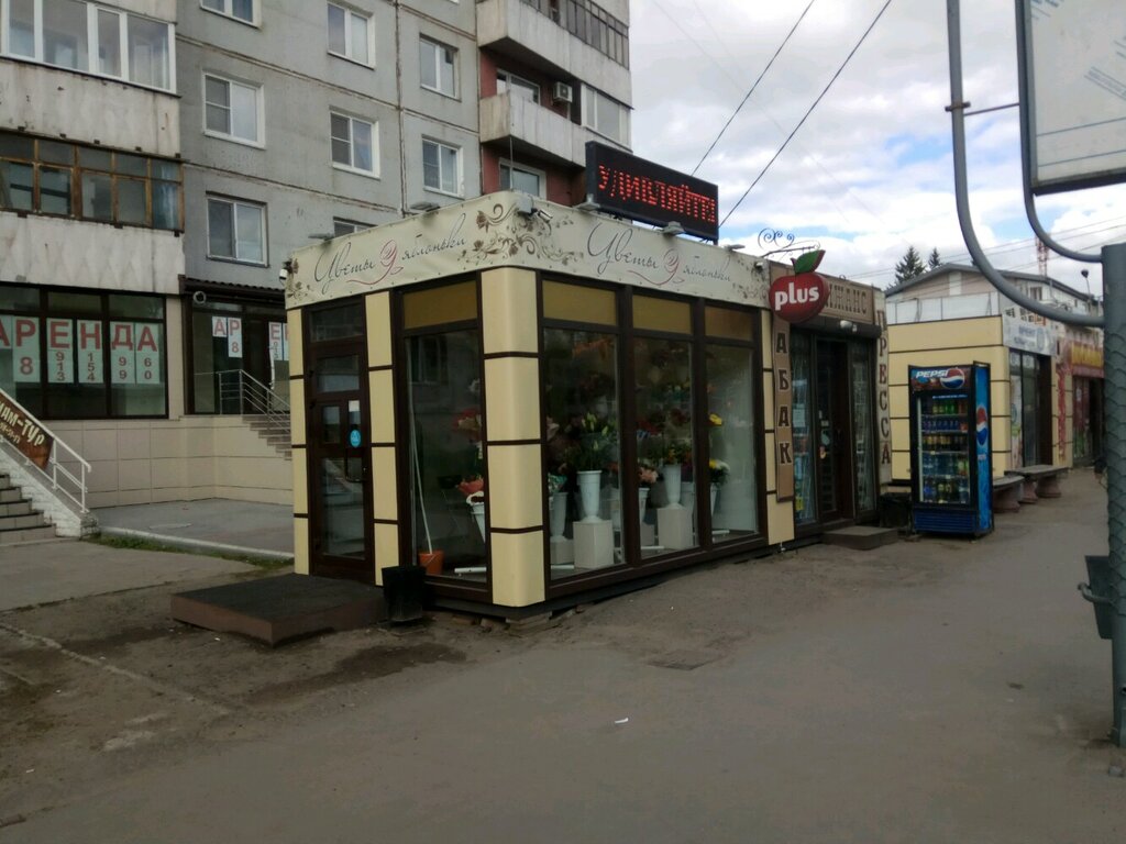Магазин У Яблоньки Омск Официальный Сайт