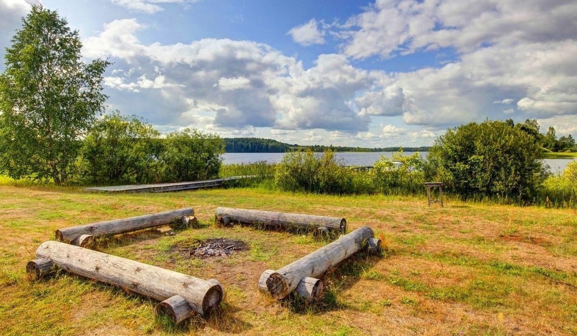 Фото Новый ковчег