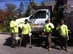 Toms River Tree Service (New Jersey, Ocean County), urban improvement