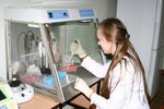 Kbsu them. Kh. M. Berbekova, Institute of Chemistry and Biology (ulitsa Chernyshevskogo, 173) ، كلية، جامعة