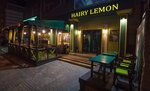 Hairy lemon pub (Lazurnaya Street, 13), bar, pub