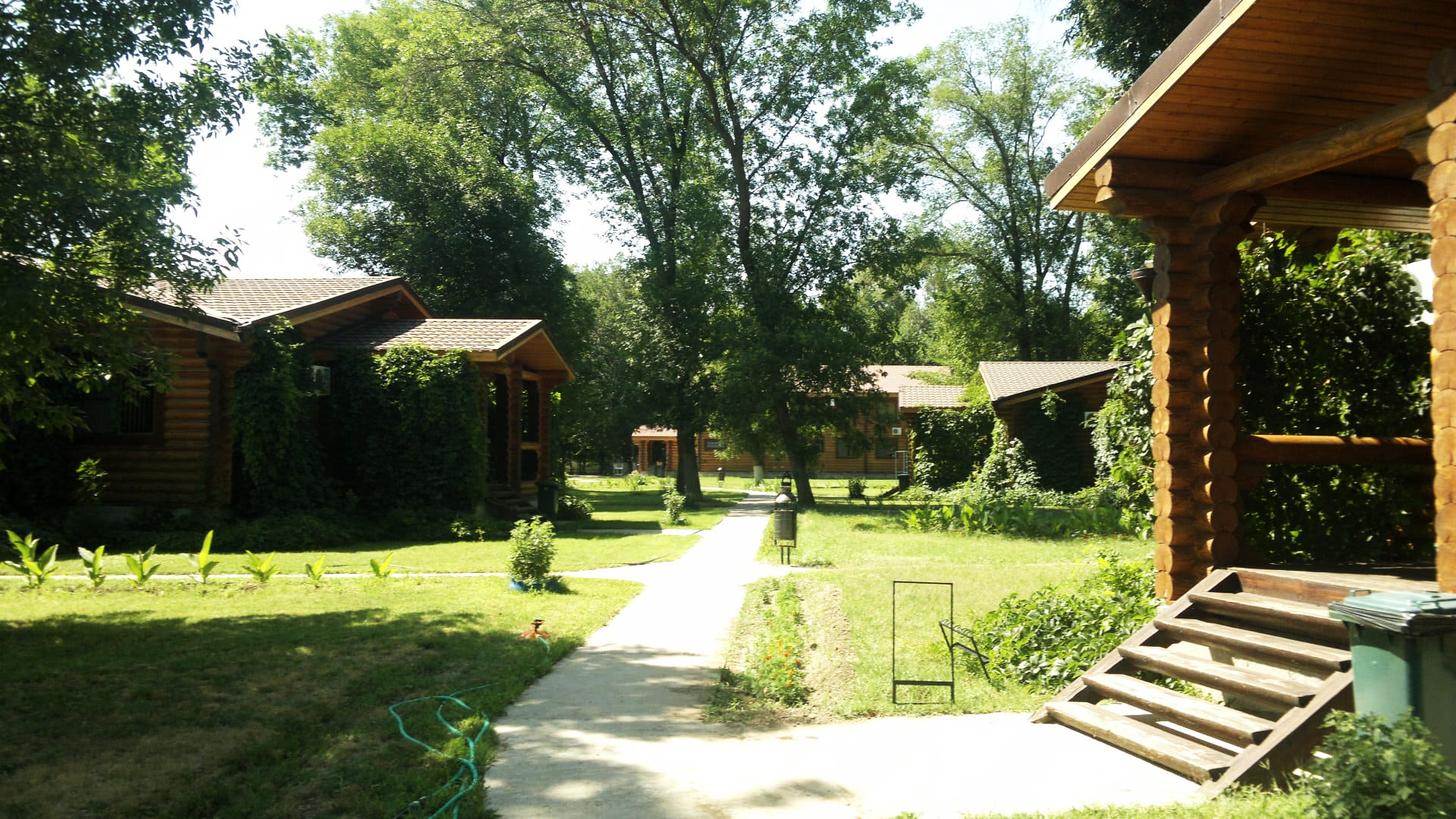 Фото Лесная