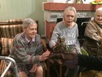 Pansion dlya pozhilykh Rus (Bolshoy Vasilyevskogo Ostrova Avenue, 11), nursing home