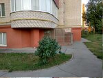 Okhrannoye predpriyatiye Vityaz-R (9th Liniya Street, 30) ، شركة أمن