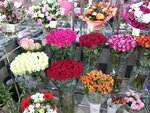 Vanda-flora (Novoyasenevskiy Avenue, 24), flower shop
