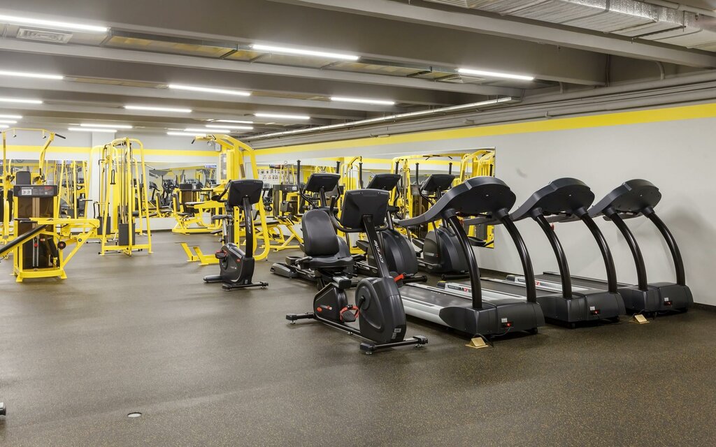 Alex fitness максимир воронеж - Alex Fitness, фитнес-клуб, Ленинский просп., 174