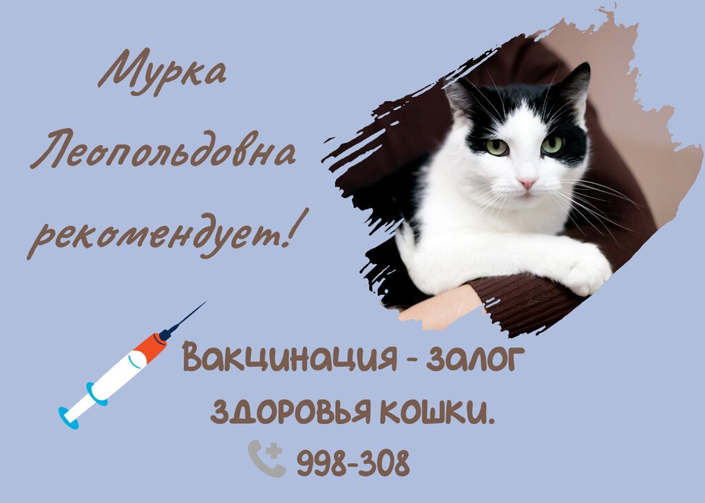 Clínica veterinaria Preferential animal sterilization center Sterilka Plus, , foto