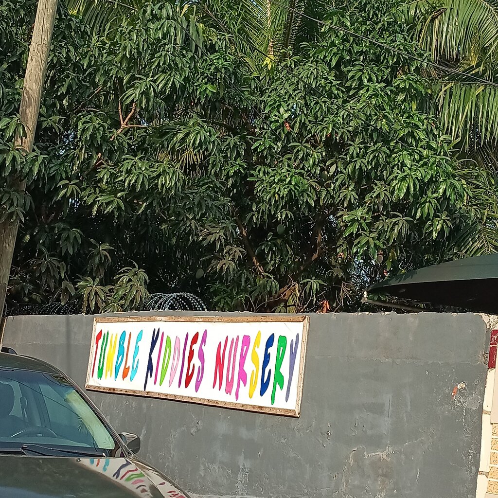 Kindergarten, nursery Tumble Kids Nursery, Earth, photo