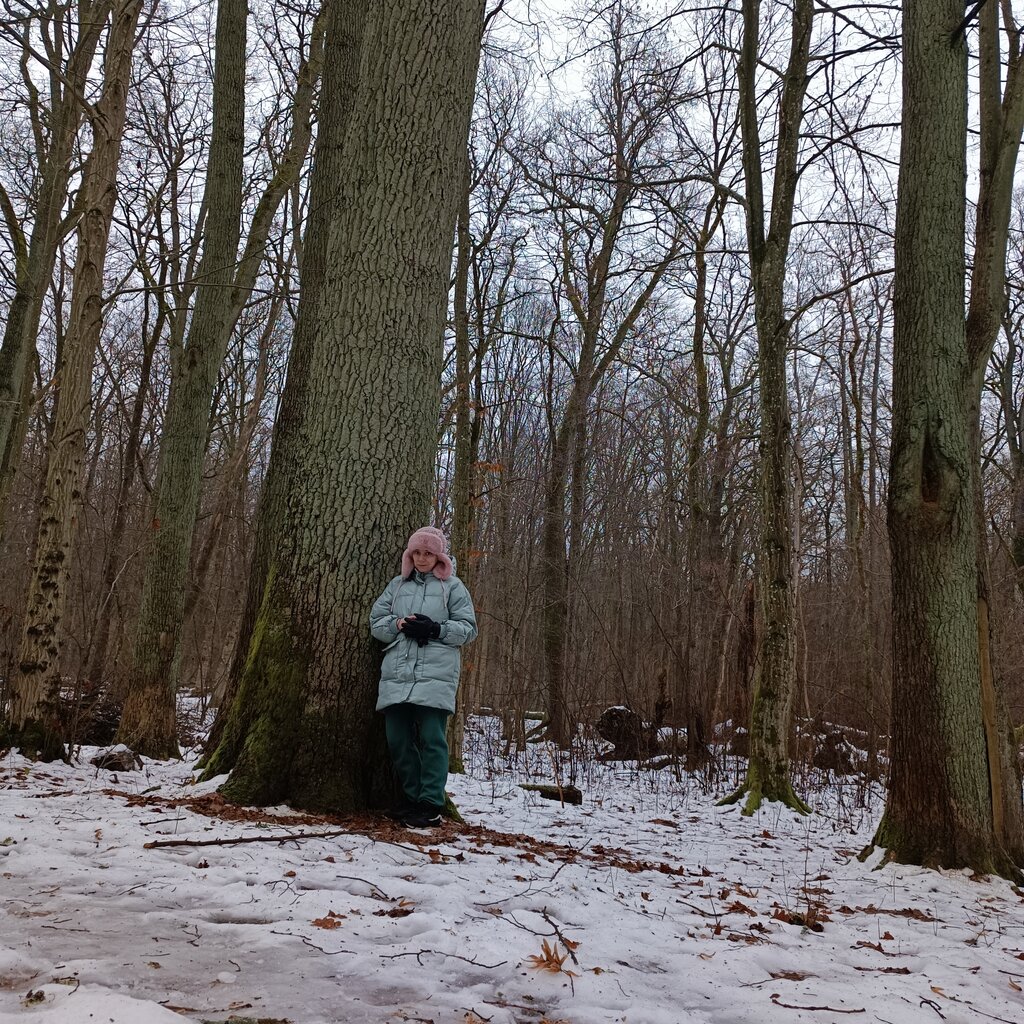 Park Горелый лес, Kaliningrad Oblast, photo