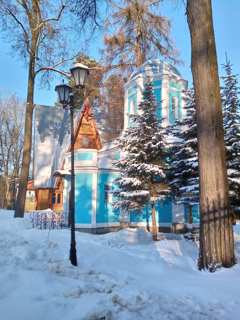 Православный храм Церковь Рождества Христова, Москва и Московская область, фото