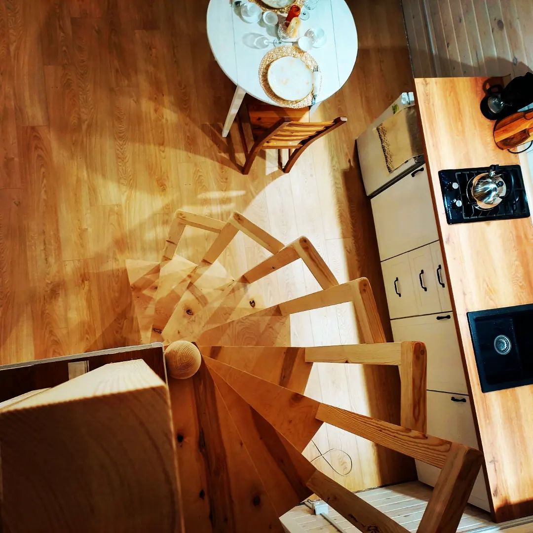 Фото Бурундуки