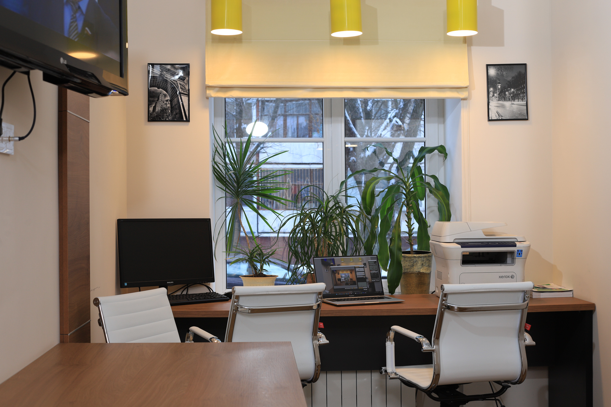 Фото Ампаро