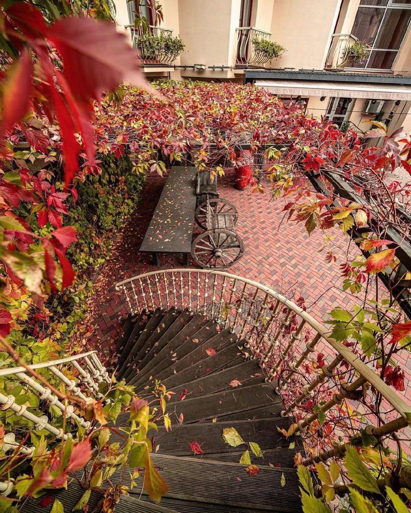 Фото Амбассадори