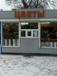 Azbuka tsvetov (Molodoguardeycev Street, 31А), floristeria