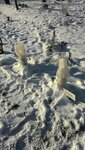 Ботанический сад Нфи КемГУ (Kemerovo — Kuzbass Region, Novokuznetskiy Municipal District, SNT Sosny) ، التنظيم البيئي