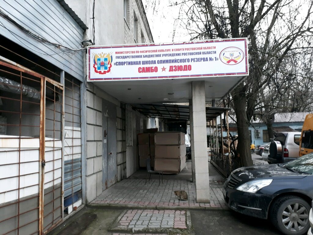 Escuela deportiva ГБУ РО Спортивная школа олимпийского резерва № 1, , foto