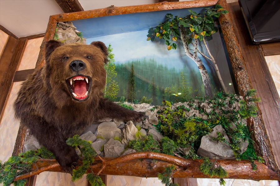 Фото Берлога