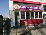 Zoopark (Shvernika Street, 19А), tienda de animales