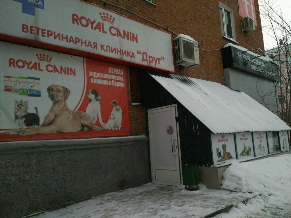 Пермь ветеринарные клиники друг