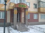 Ozon (Lenina Avenue, 87), shopping mall