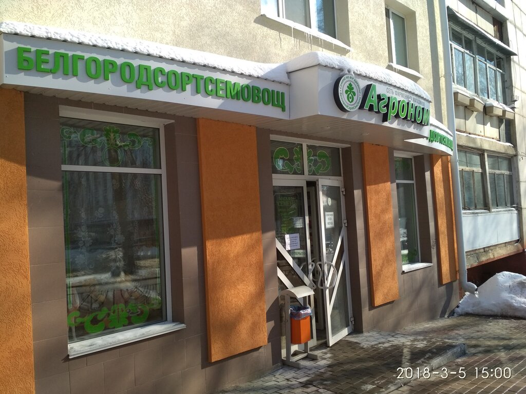 Белгород семена магазины саксифрага семена