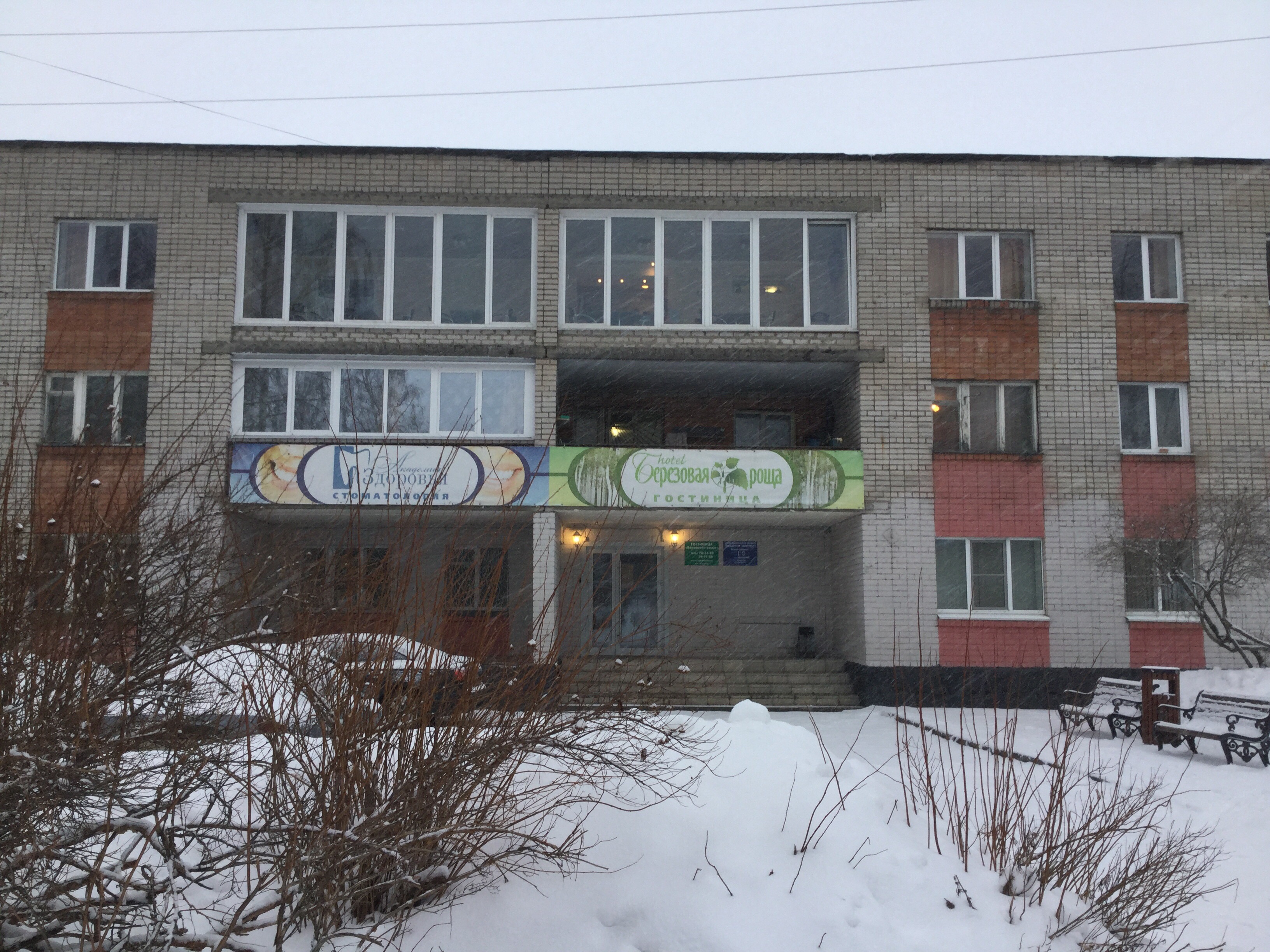 Фото Берёзовая Роща